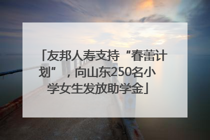 友邦人寿支持“春蕾计划”，向山东250名小学女生发放助学金